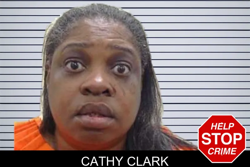 Cathy Clark mugshot