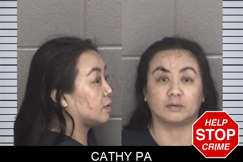 Cathy Pa mugshot