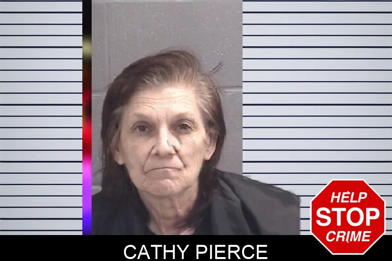 Cathy Pierce mugshot – Spalding County , Georgia Cathy Pierce mugshot