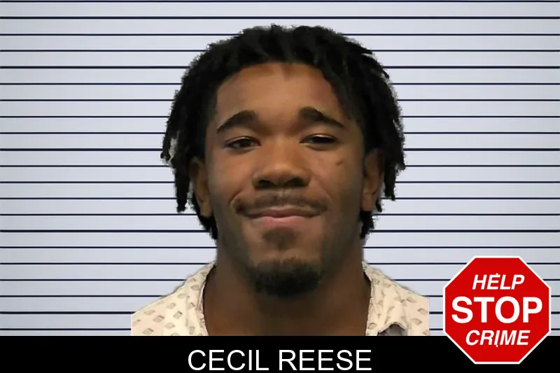 Cecil Reese mugshot