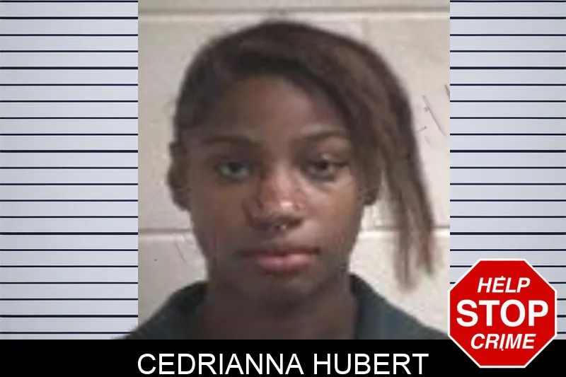 Cedrianna Hubert mugshot – Henry County , Georgia Cedrianna Hubert mugshot