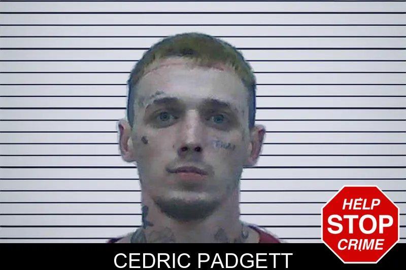 Cedric Padgett mugshot