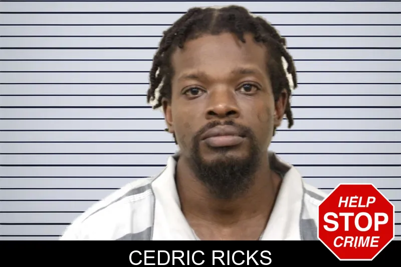 Cedric Ricks mugshot