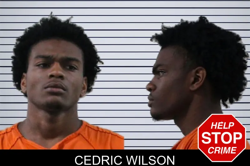 Cedric Wilson mugshot
