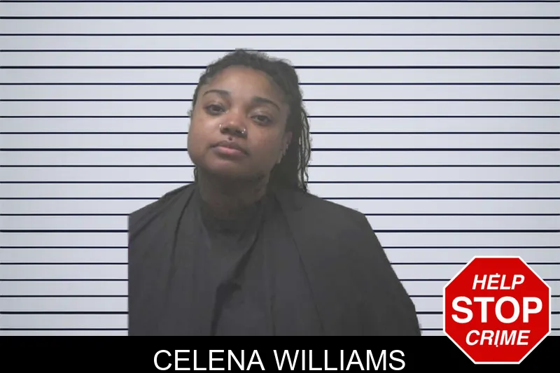 Celena Williams mugshot – Coweta County , Georgia Celena Williams mugshot