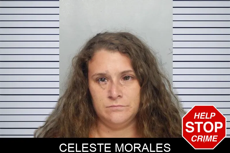 Celeste Morales mugshot