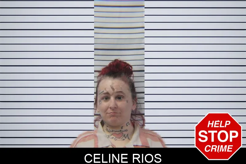 Celine Rios mugshot – Stephens County , Georgia Celine Rios mugshot