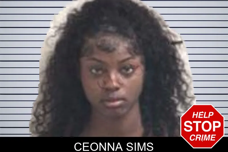 Ceonna Sims mugshot