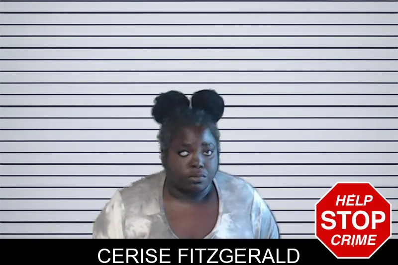 Cerise Fitzgerald mugshot