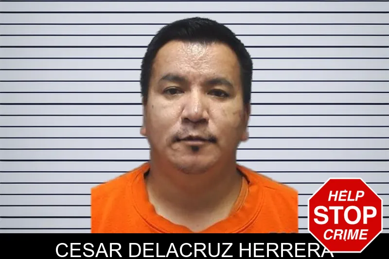 Cesar Delacruz Herrera mugshot