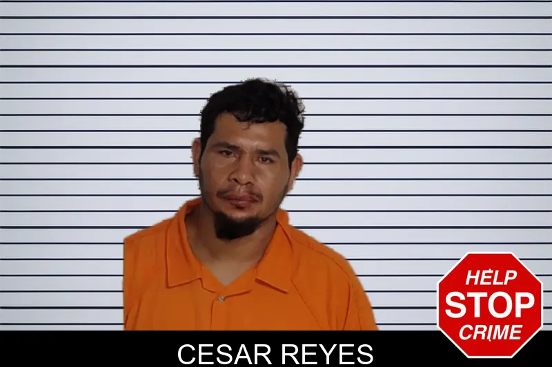 Cesar Reyes mugshot