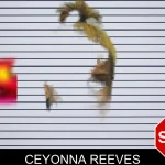 Ceyonna Reeves mugshot