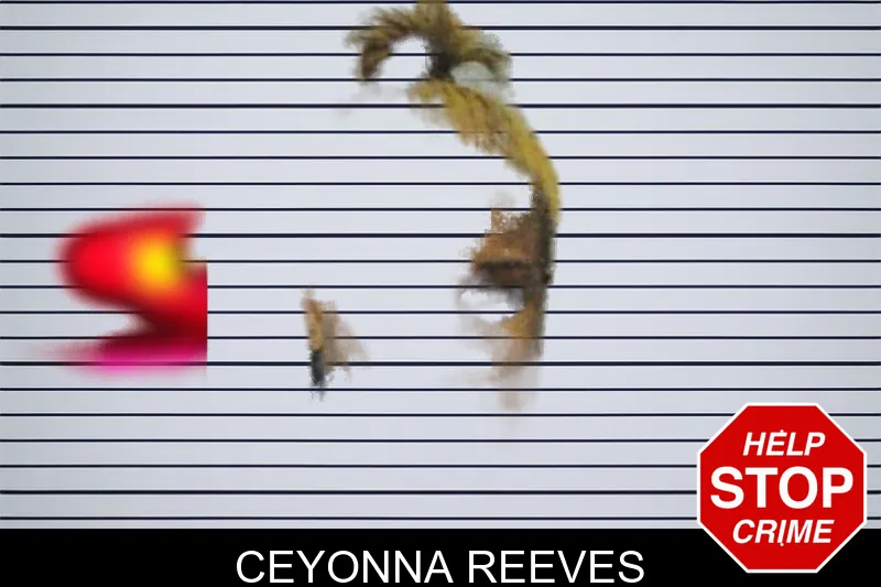 Ceyonna Reeves mugshot