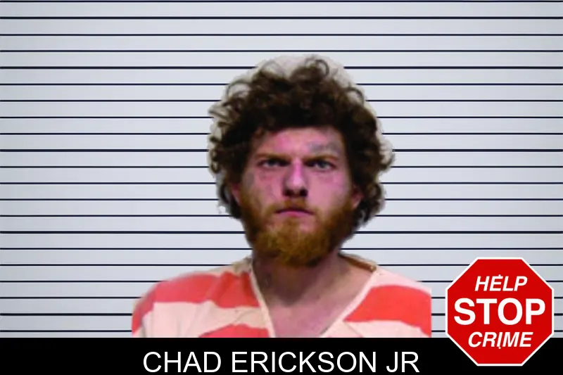 Chad Erickson Jr mugshot