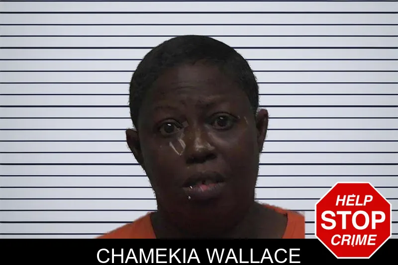 Chamekia Wallace mugshot
