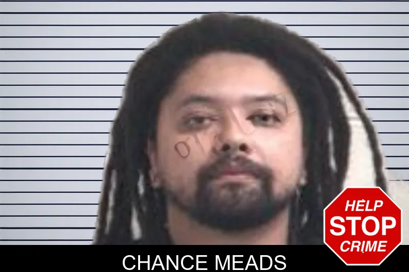 Chance Meads mugshot – Henry County , Georgia Chance Meads mugshot