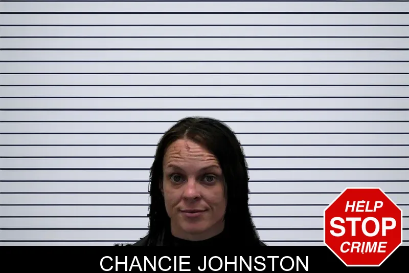 Chancie Johnston mugshot