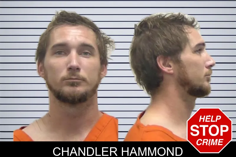 Chandler Hammond mugshot