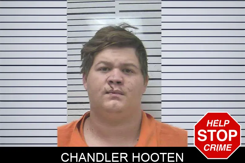 Chandler Hooten mugshot – Colquitt County , Georgia Chandler Hooten mugshot