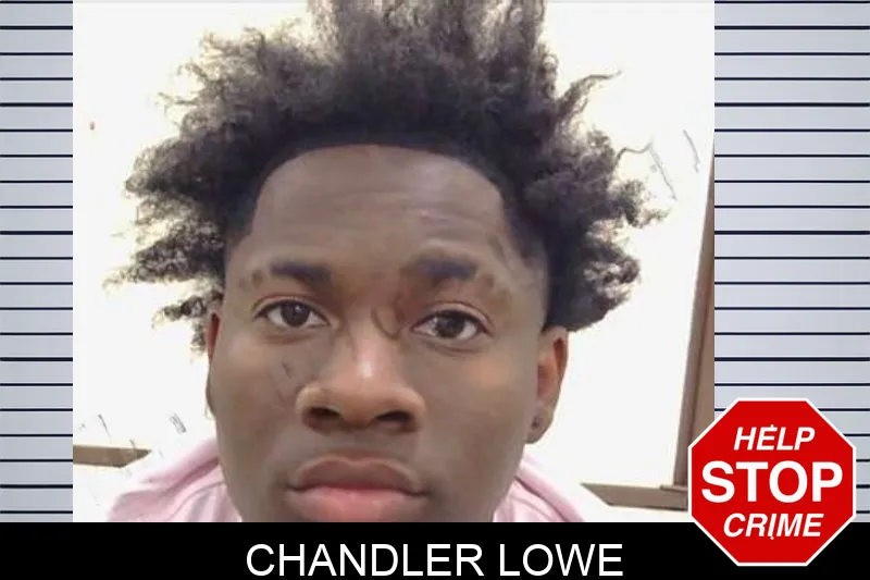 Chandler Lowe mugshot