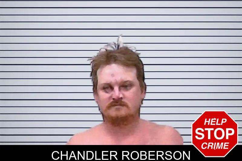 Chandler Roberson mugshot