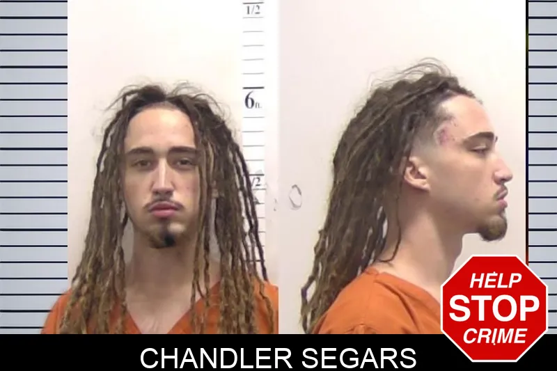 Chandler Segars mugshot