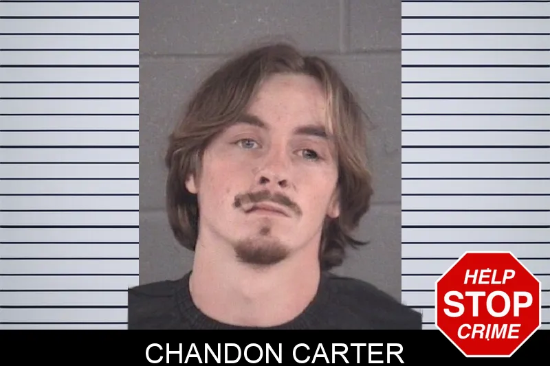 Chandon Carter mugshot