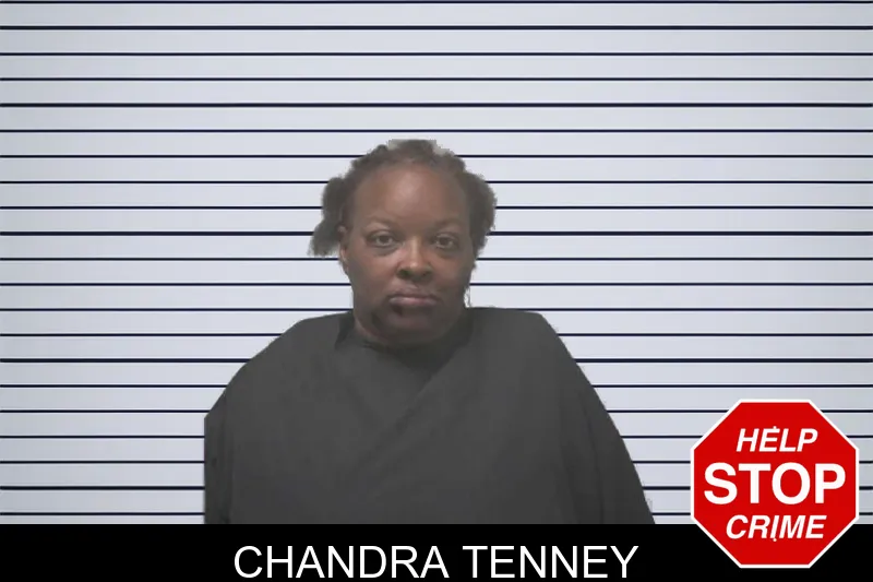 Chandra Tenney mugshot – Coweta County , Georgia Chandra Tenney mugshot