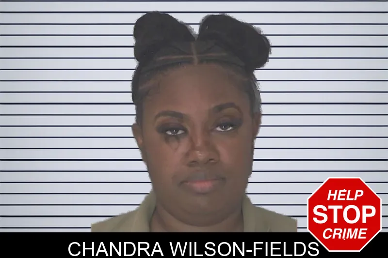 Chandra Wilson-Fields mugshot
