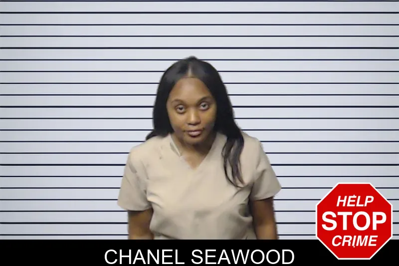 Chanel Seawood mugshot – DeKalb County , Georgia Chanel Seawood mugshot