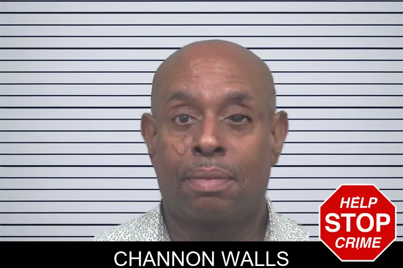 Channon Walls mugshot