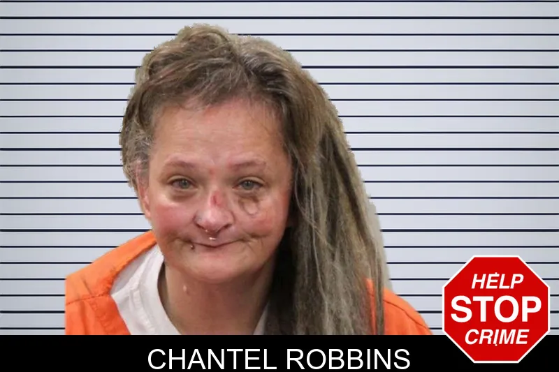 Chantel Robbins mugshot – Heard County , Georgia Chantel Robbins mugshot