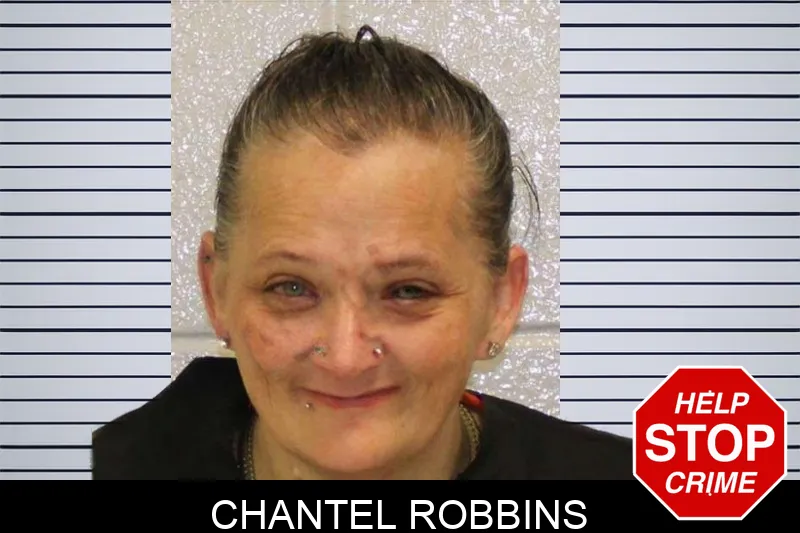 Chantel Robbins mugshot – Carroll County , Georgia Chantel Robbins mugshot