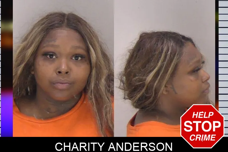 Charity Anderson mugshot