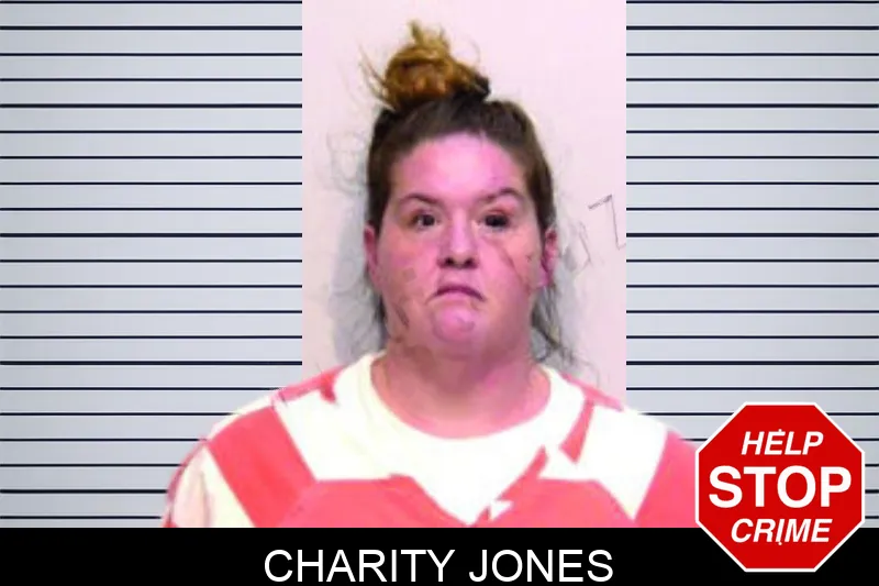 Charity Jones mugshot – Bartow County , Georgia Charity Jones mugshot