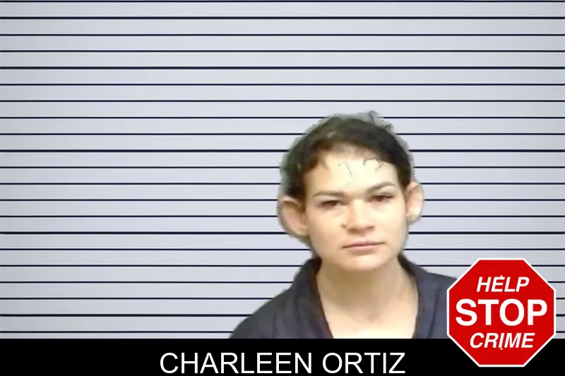 Charleen Ortiz mugshot