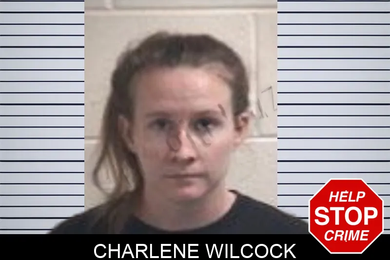 Charlene Wilcock mugshot