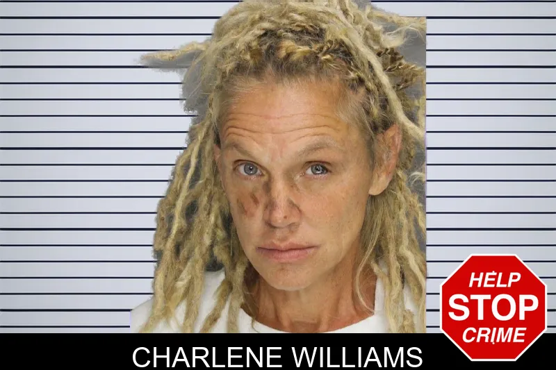 Charlene Williams mugshot – Cobb County , Georgia Charlene Williams mugshot