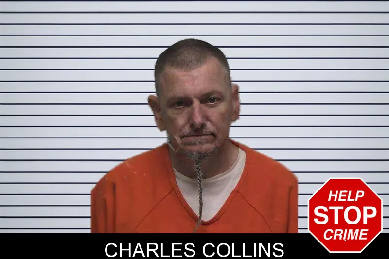 Charles Collins mugshot