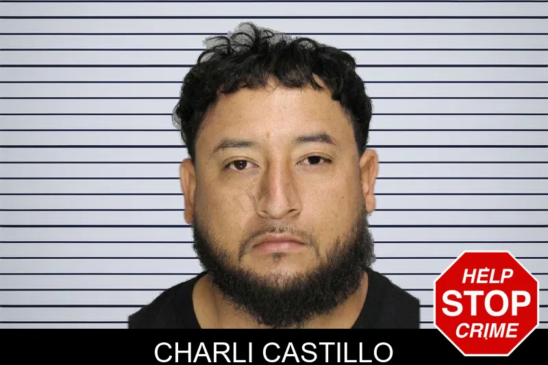 Charli Castillo mugshot