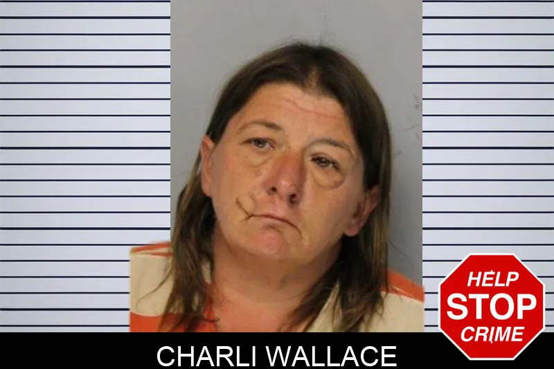 Charli Wallace mugshot