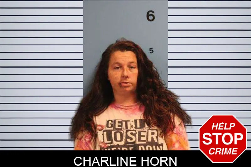 Charline Horn mugshot