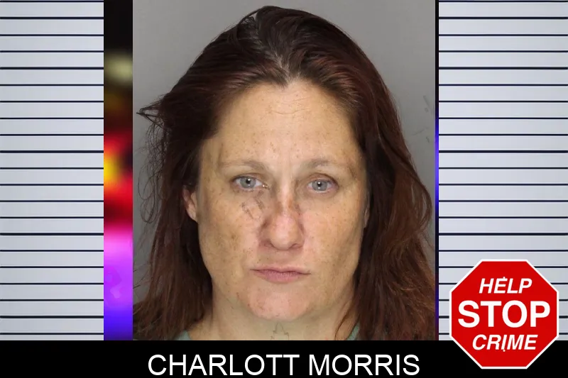 Charlott Morris mugshot – Cobb County , Georgia Charlott Morris mugshot