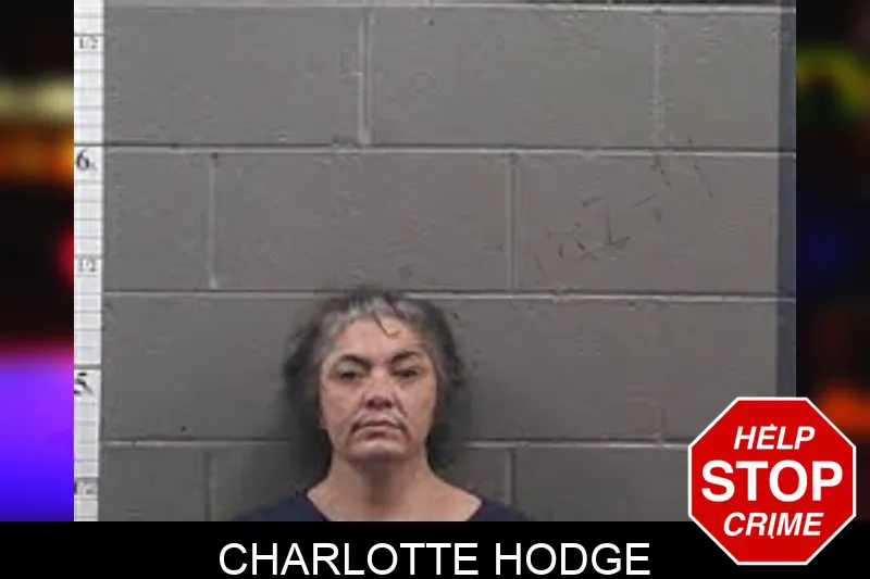 Charlotte Hodge mugshot