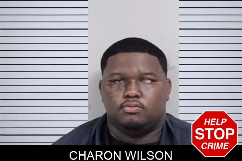 Charon Wilson mugshot