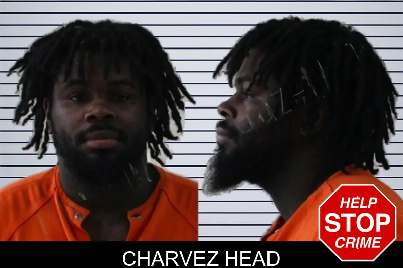 Charvez Head mugshot – Houston County , Georgia Charvez Head mugshot