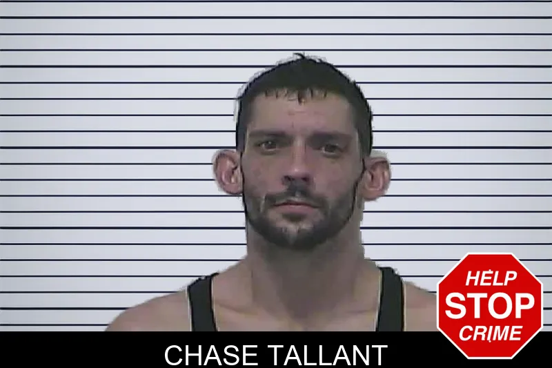 Chase Tallant mugshot