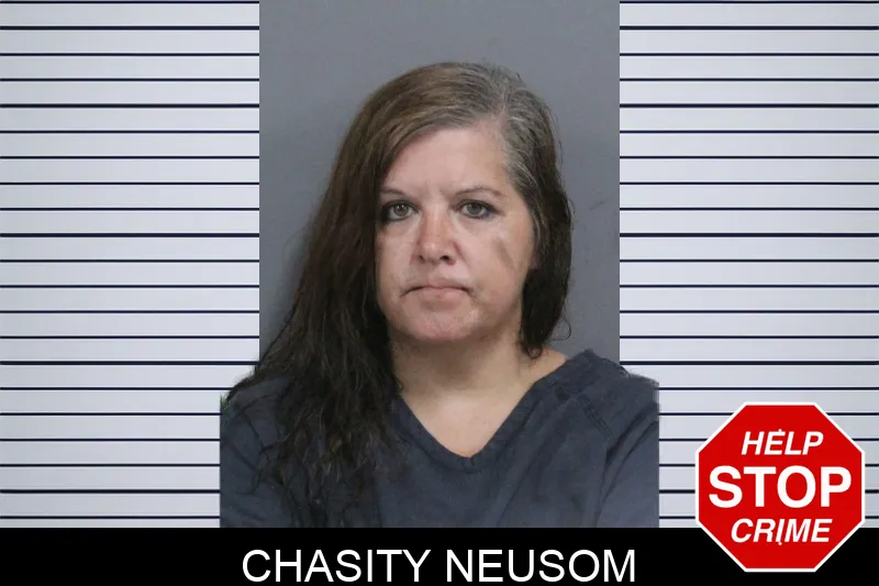 Chasity Neusom mugshot – Catoosa County , Georgia Chasity Neusom mugshot