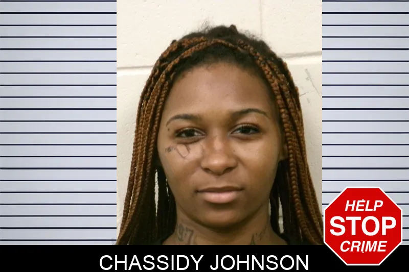 Chassidy Johnson mugshot