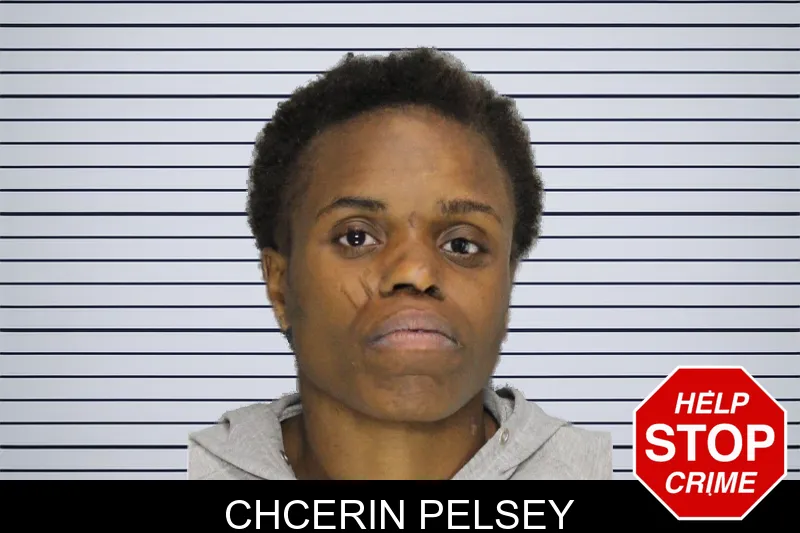 Chcerin Pelsey mugshot